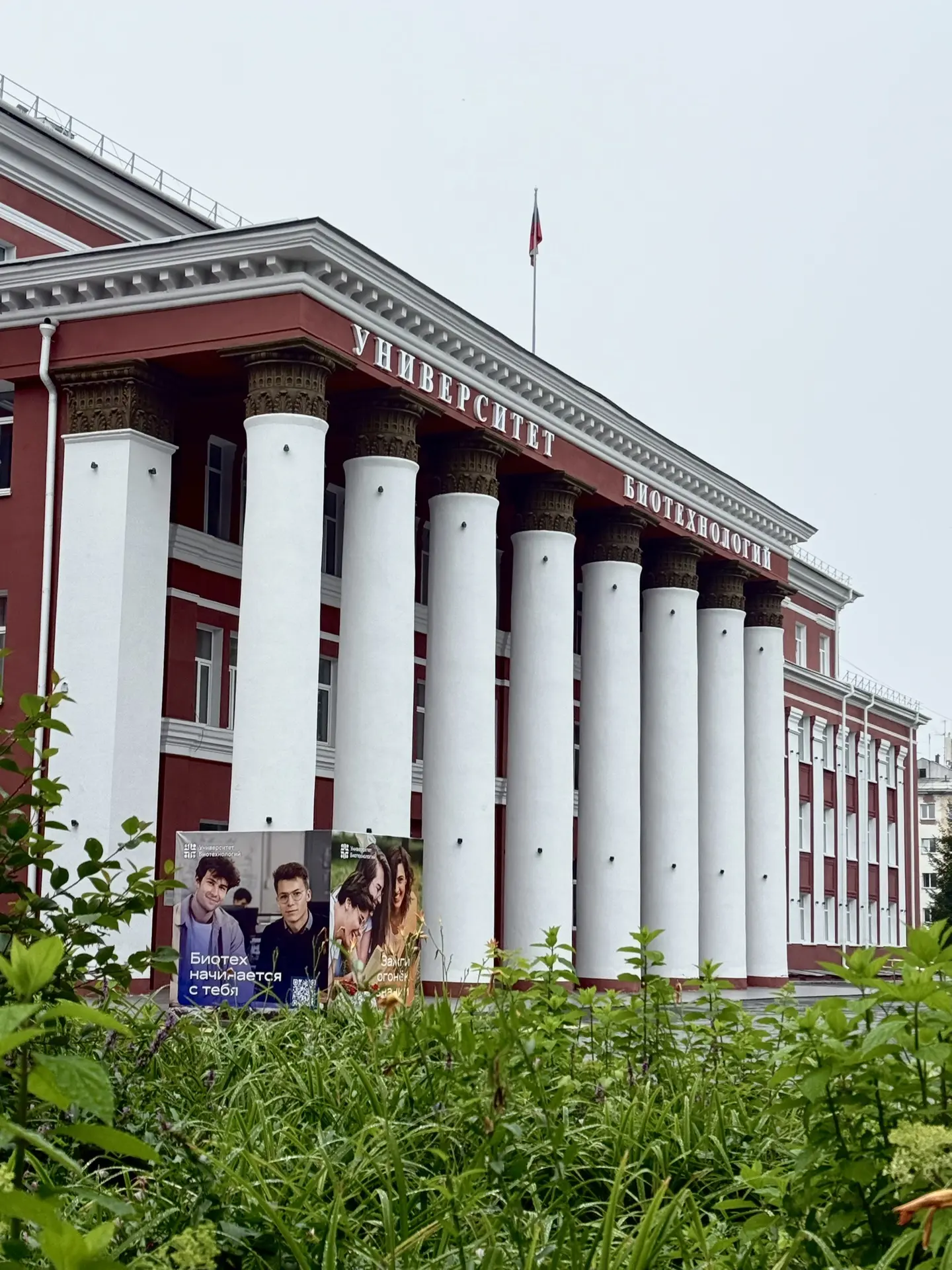 Именно в пасмурное утро особенно заметно, какой глубокий и насыщенный цвет ♥️

Доброе утро, #Универс