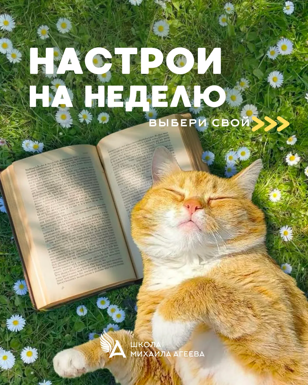 🌟НАСТРОИ НА НЕДЕЛЮ

✔КАК РАБОТАТЬ С НАСТРОЯМИ:

Друзья, выбирайте те настрои, которые по-настоящему