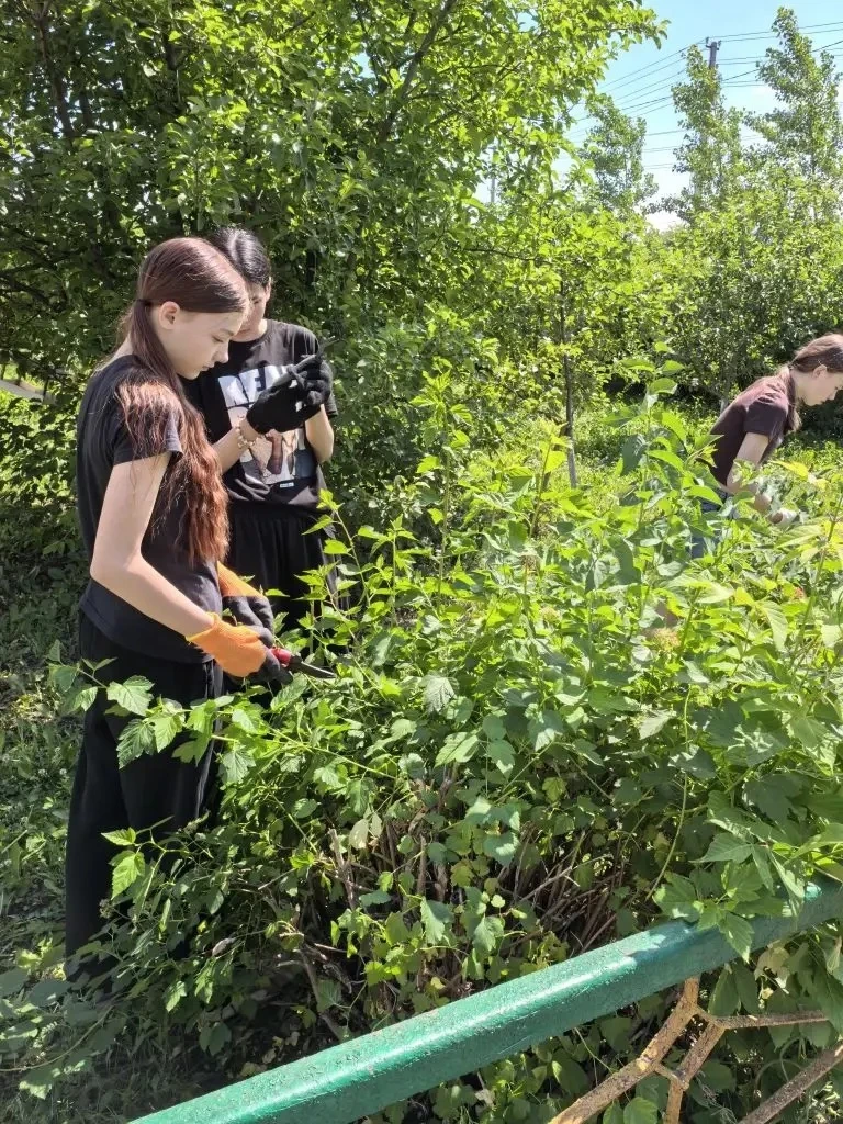 ☀️ Продуктивный день у ребят из ЛТО «Ровесники»! 

🔥Вчера наши юные помощники потрудились на славу 