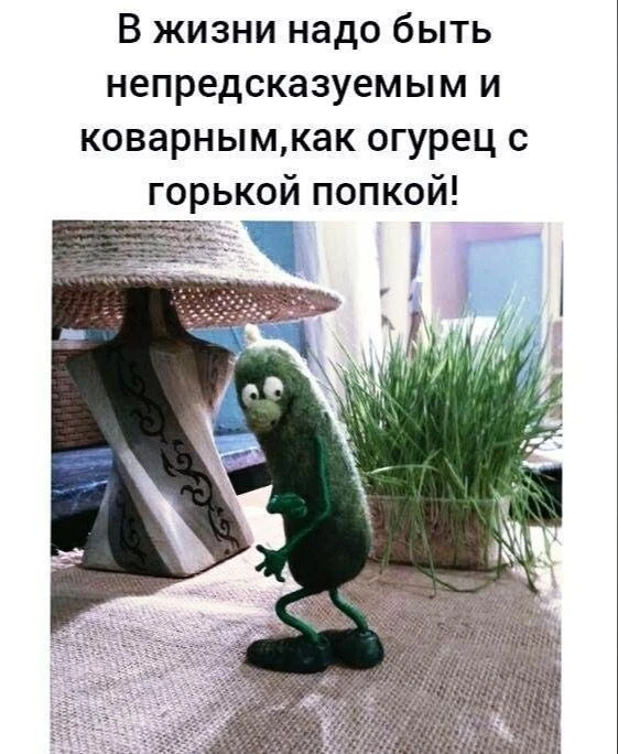 Пчёлка