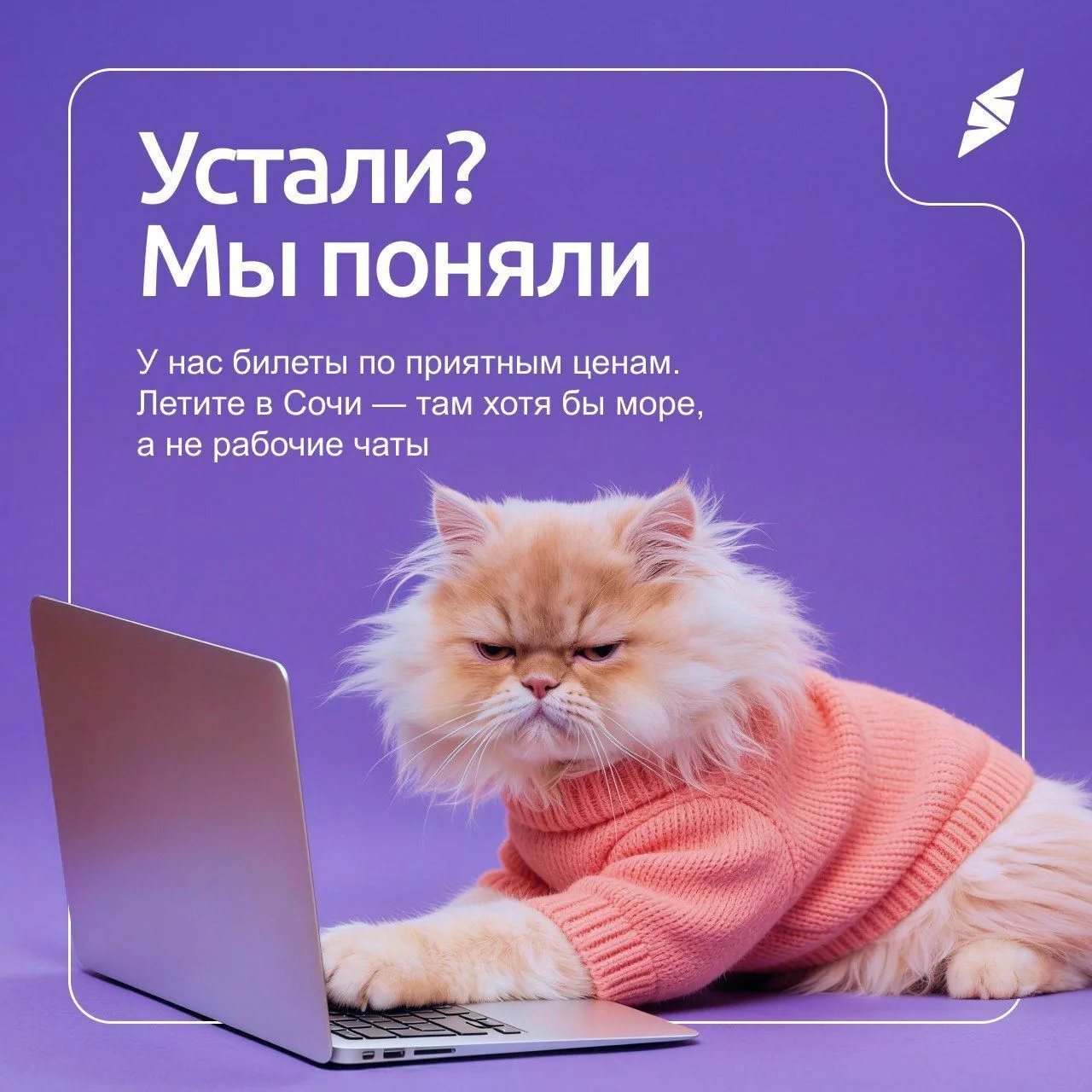 Изображение 1 к публикации «Авиакомпания Smartavia»