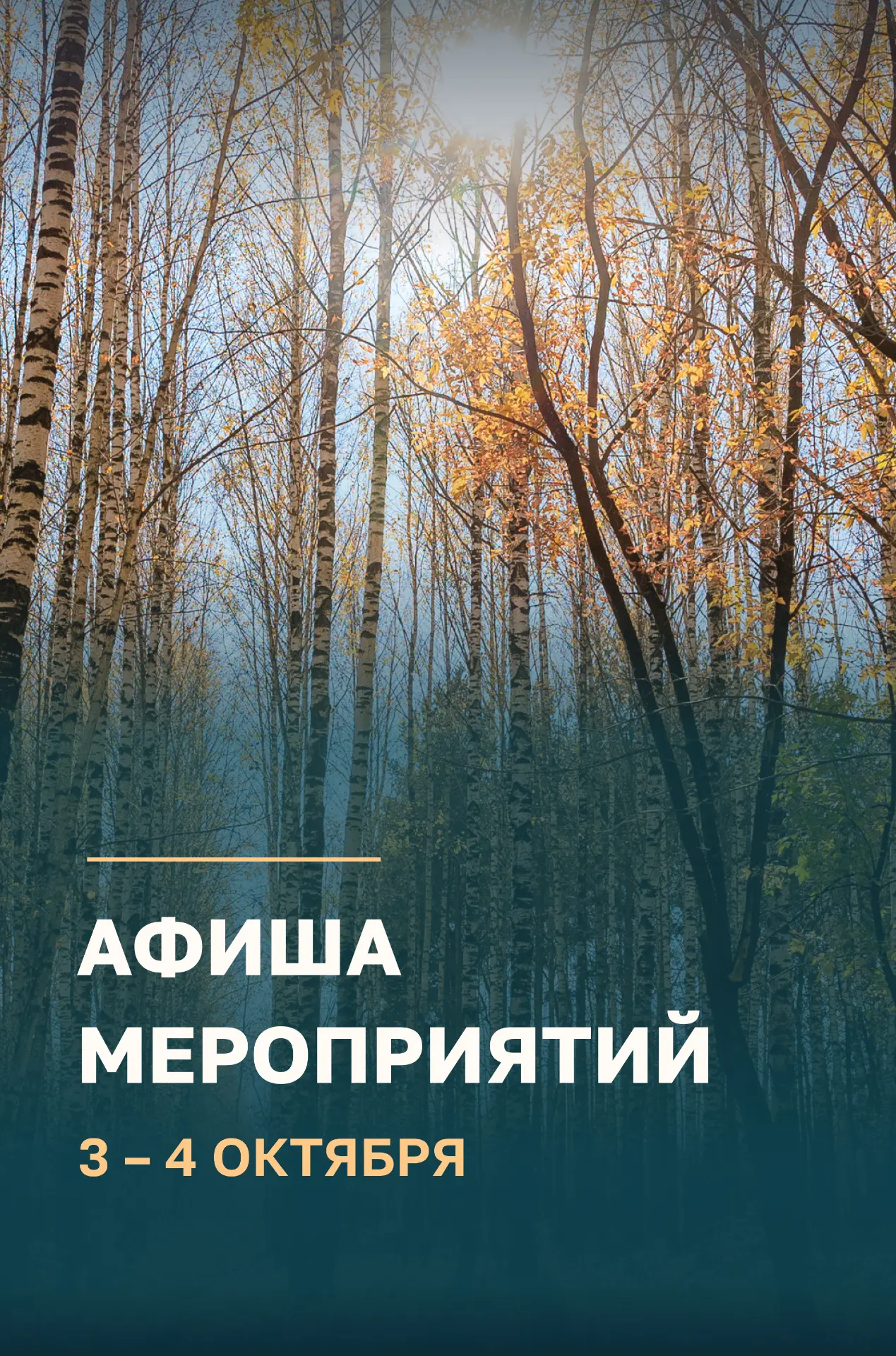 #Афиша_Перми