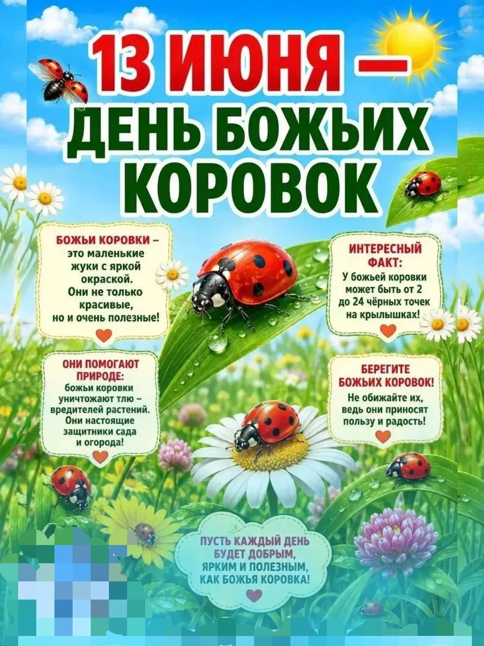 🐞 Возможно, вы и не знали, что у этих милых насекомых есть собственный праздник, но он существует и