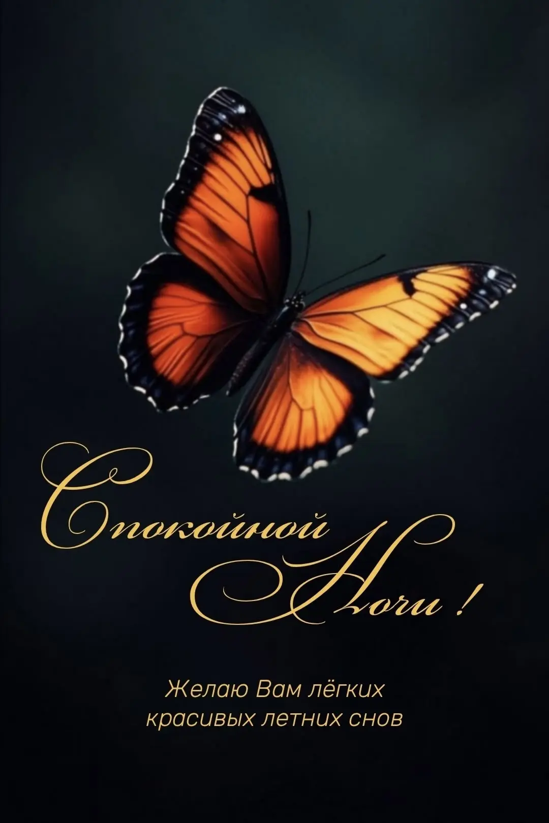 #СпокойнойНочи 🧡

👉Открытки! Подписаться