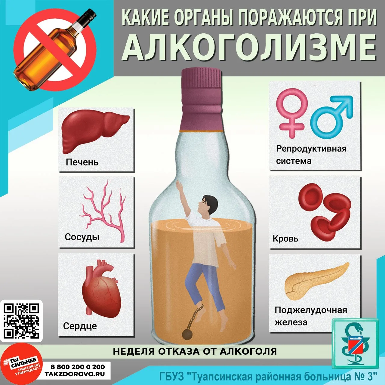 КАКИЕ ОРГАНЫ ПОРАЖАЮТСЯ ПРИ АЛКОГОЛИЗМЕ