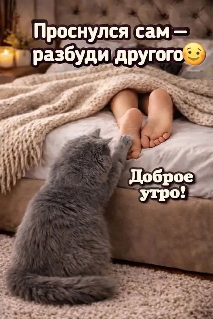 Доброе утро, друзья! ☕️