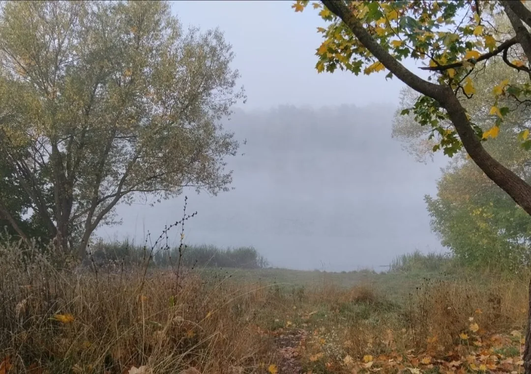 🌫️ Утро на реке в Ильинском