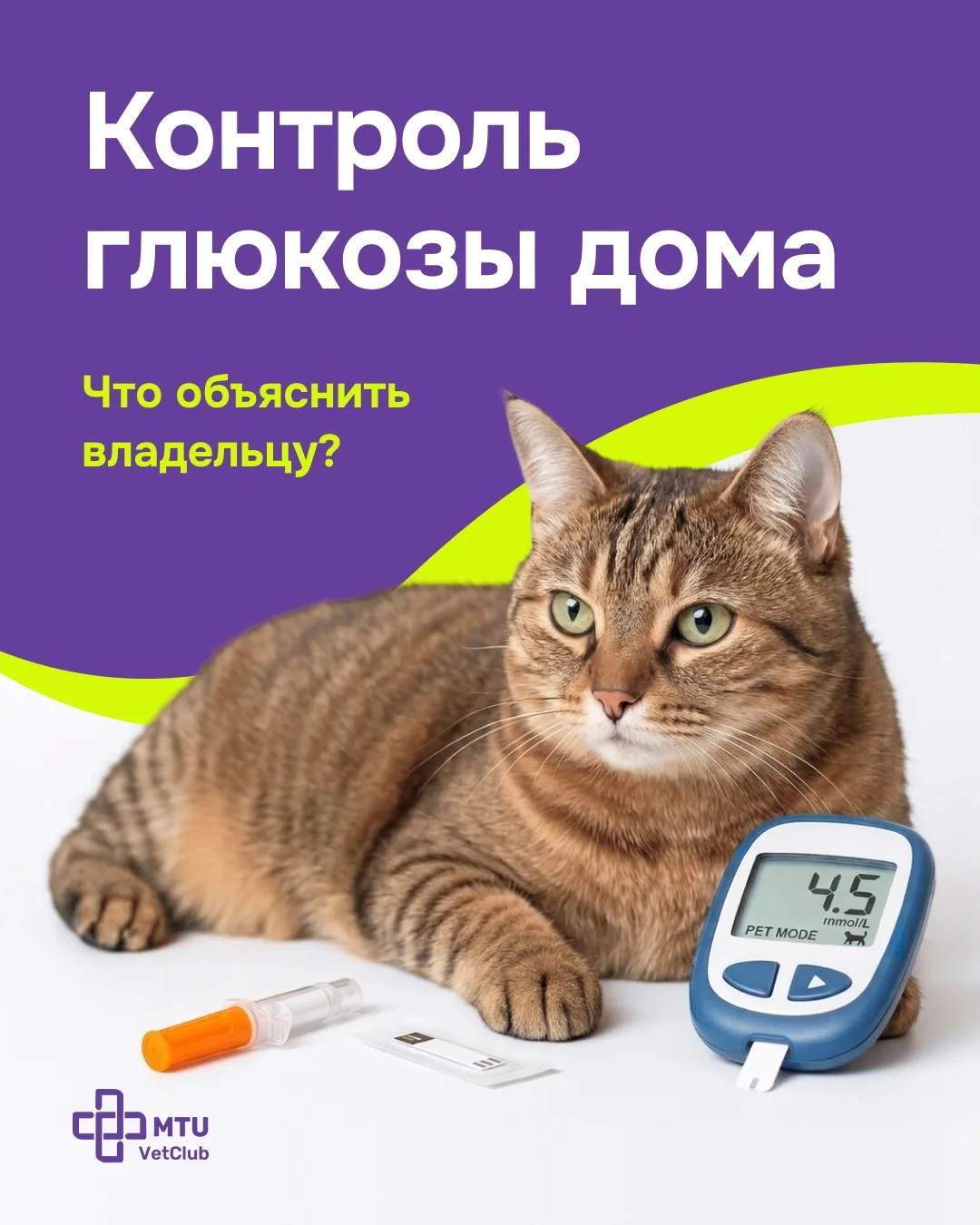Как измерять глюкозу питомцу? Обучаем владельца