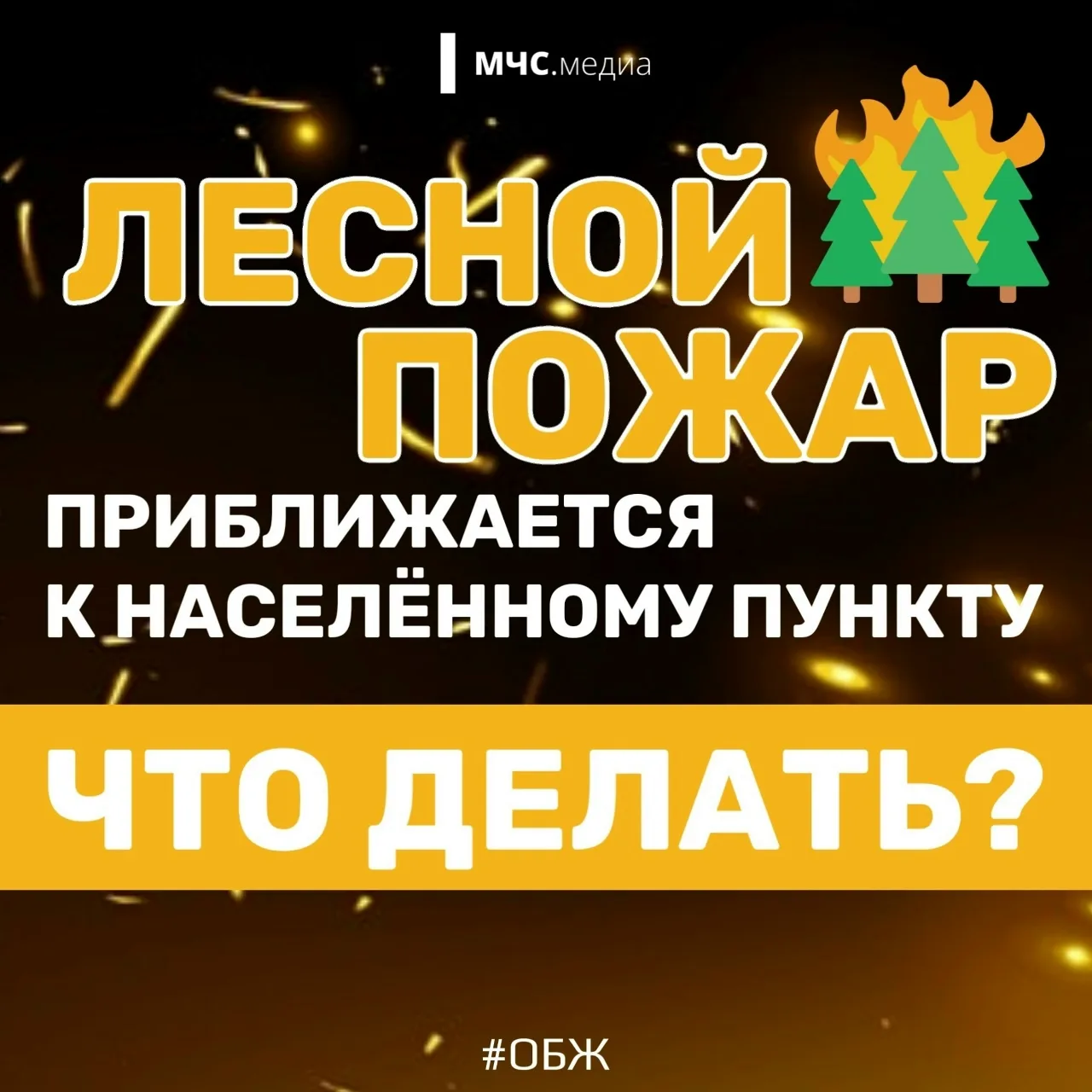 Не дай лесу сгореть! 🌲

Лес дарит нам спокойствие, грибные тропы и ягодные поляны. Но эта красота н