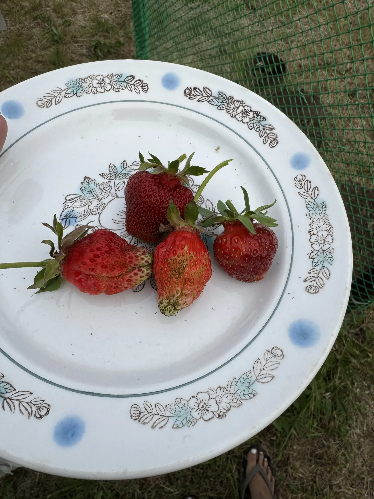 Наши первенцы😍👩‍🌾