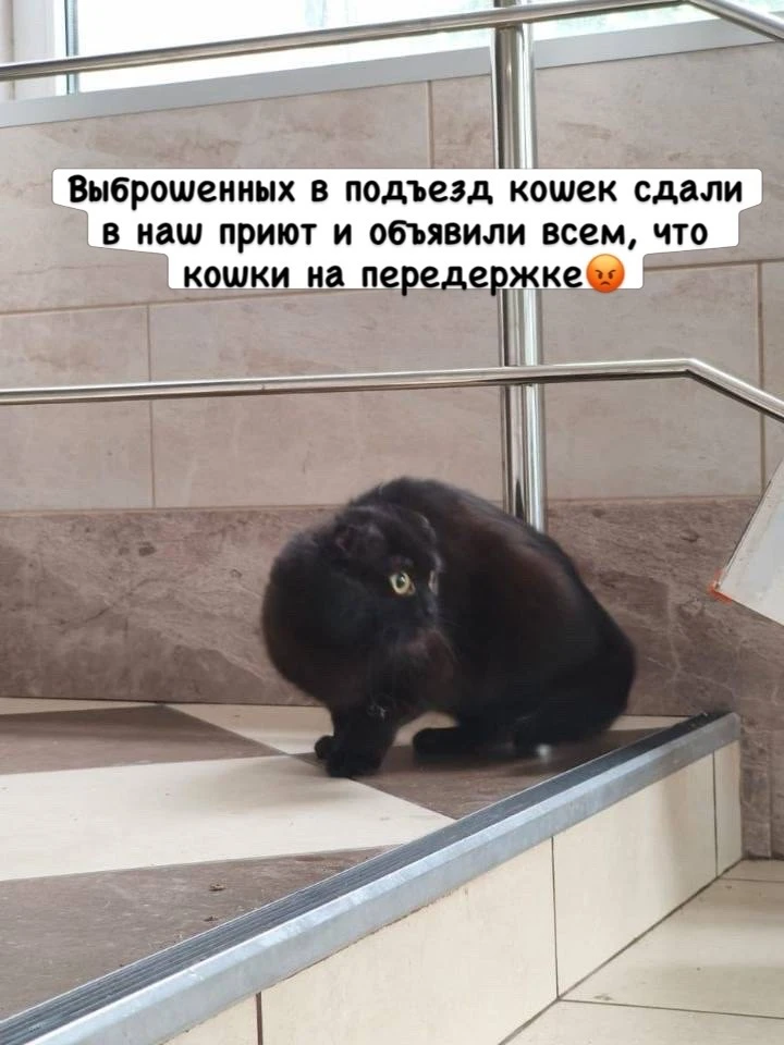 Мы только раздали почти все хотят, как вчера люди развернули целую спасательную операци...