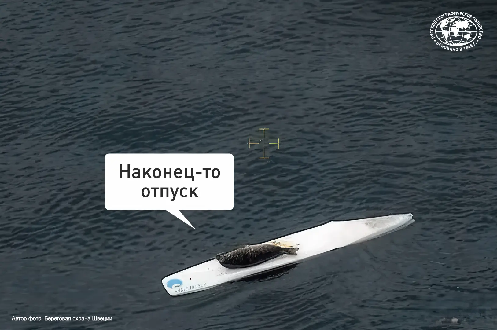 👆Настроение этим летом: 

🏄Дрейфующего на доске для сёрфинга тюленя запечатлел самолёт Береговой о