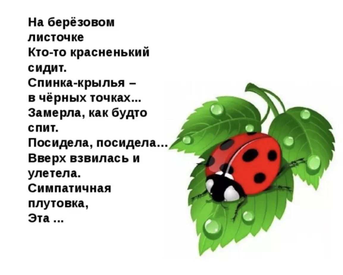 Дети средней группы N7 отгадывали загадки, прослушали «Приключения муравьишки» В.Бианки...