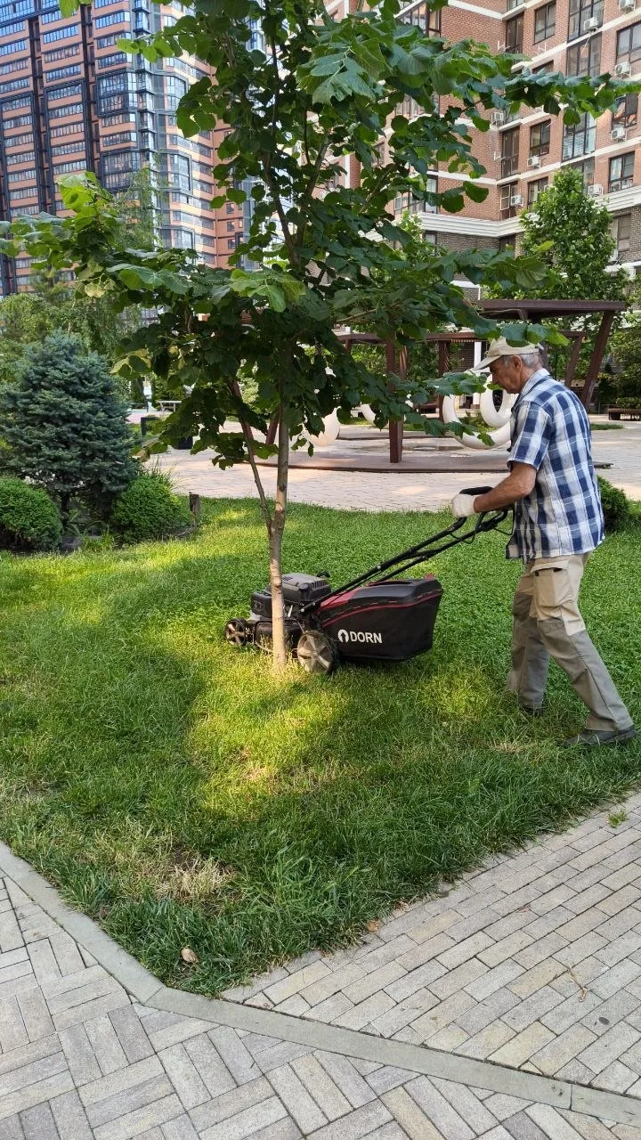 Держим в курсе — продолжаем наводить порядок во дворе 🌿 #держимвкурсе