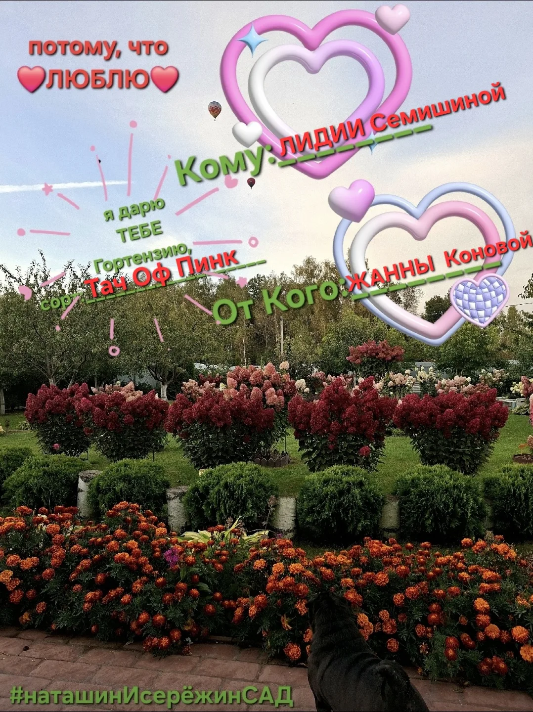 ТЕБЕ 🎁ПОДАРОК🎁 Потому, что ❤️люблю❤️  С днём ВЛЮБЛЁННЫХ💞  Признавайтесь в любви сегодня, сейчас,  ✅️