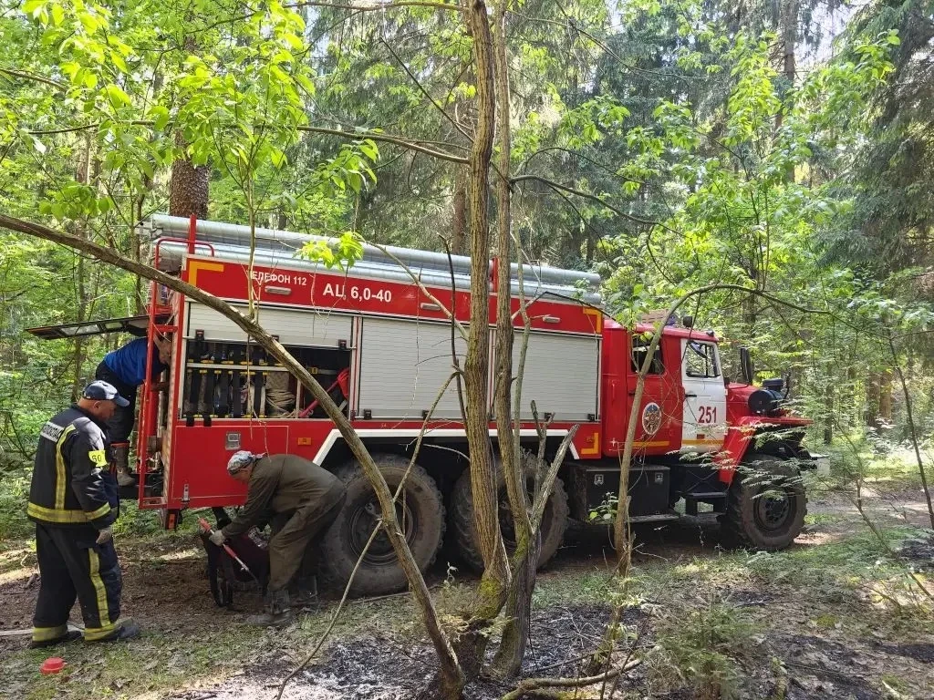 🔥Недалеко от д. Мануйлово был оперативно ликвидирован лесной пожар. Возгорание обнаружили с помощью 