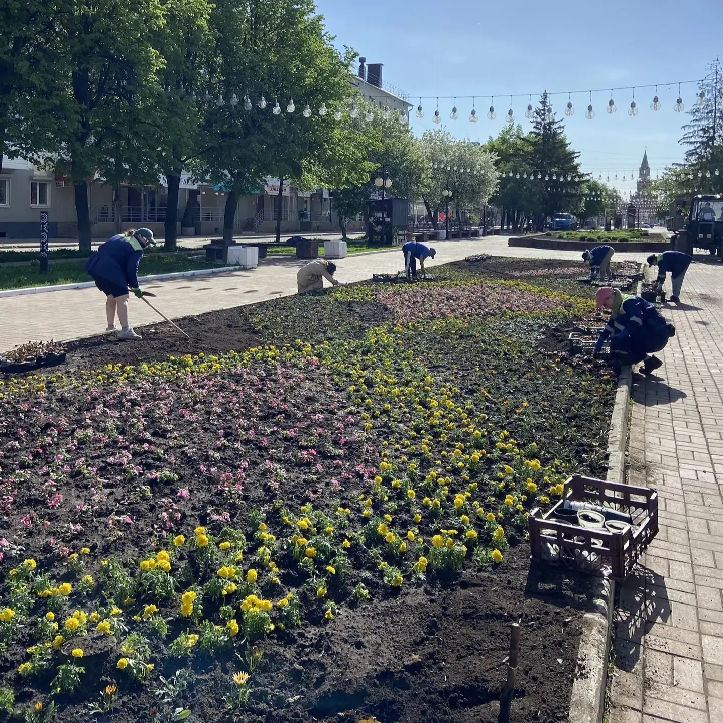 Дела городские, майские 🌸  Погода радует нас теплыми днями, а бригада озеленителей - цветами. Всеми 