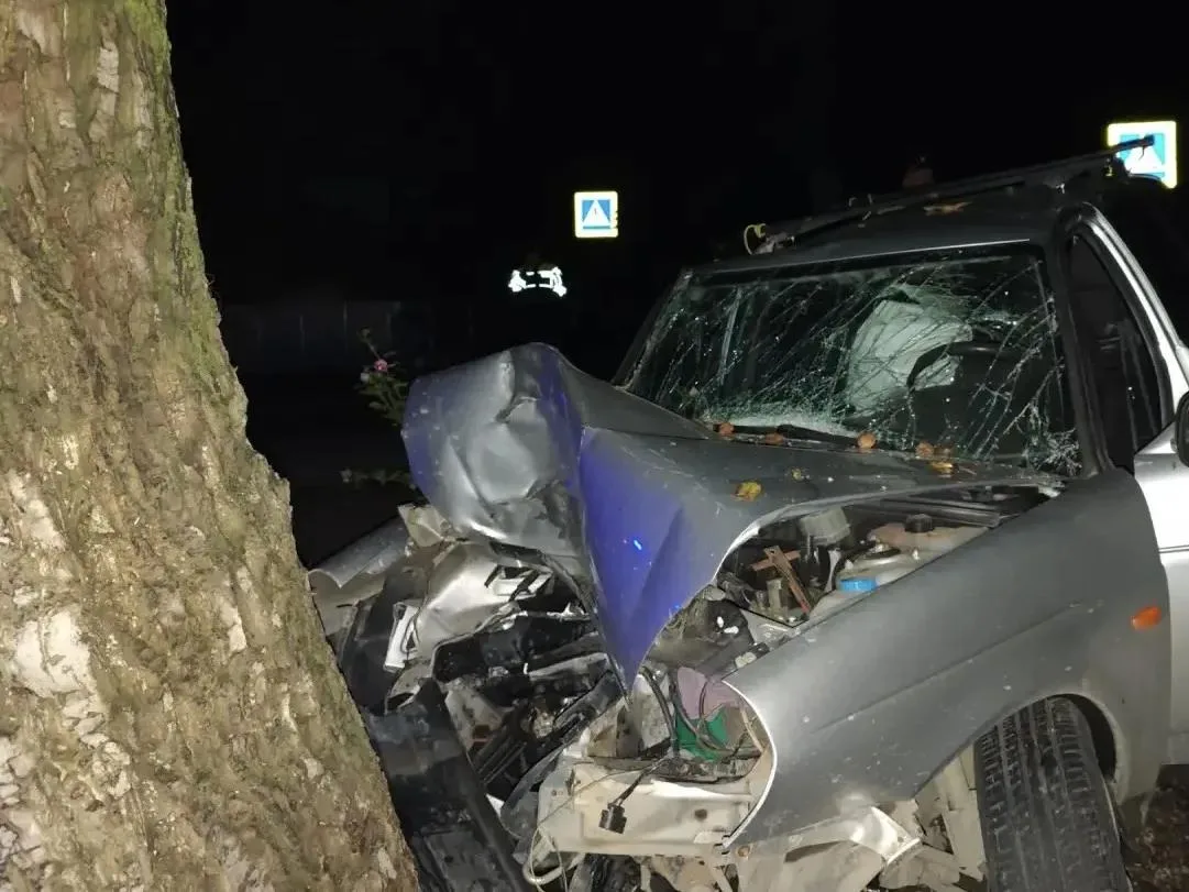 😔Водитель «Приоры» погиб после столкновения с деревом на Ставрополье