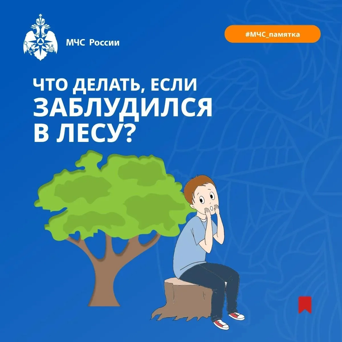 🌲 Потеряться в лесу можно за считанные минуты, поэтому важно знать, как вести себя в такой ситуации
