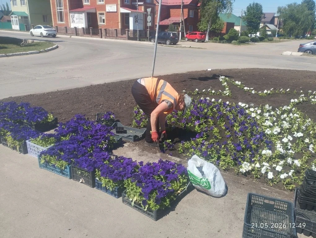 Клумбы с цветами - это настоящая сказка, 🌺которая оживляет пространство и дарит радост...