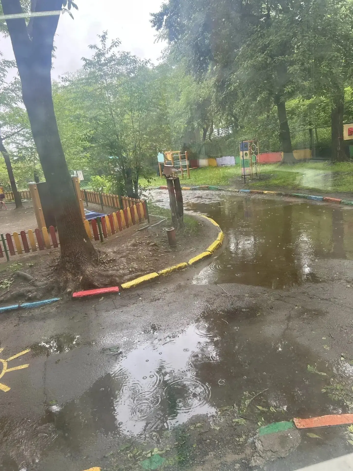 Дождь — это не повод для скуки, а возможность для открытий 🌧 
 
А вы знали, что дождь бывает разным