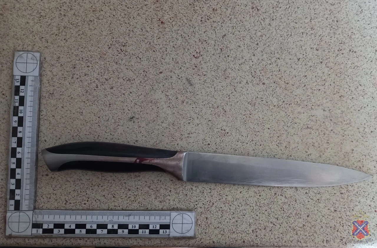 👮‍♂️Полицейские Камышина задержали подозреваемую в причинении ножевого ранения сожителю
 
Ранним ут