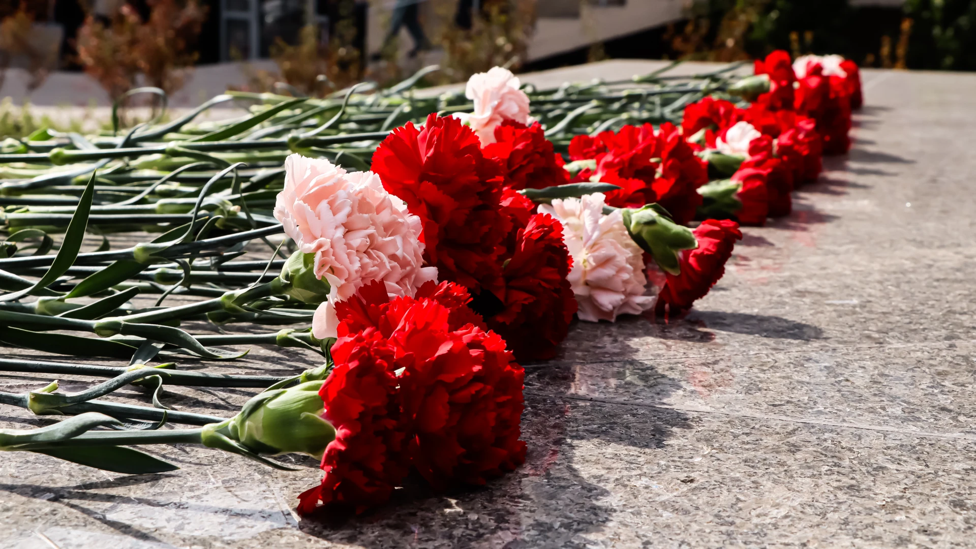 🥀 Студенты и сотрудники КФУ возложили цветы к памятнику Бутлерову