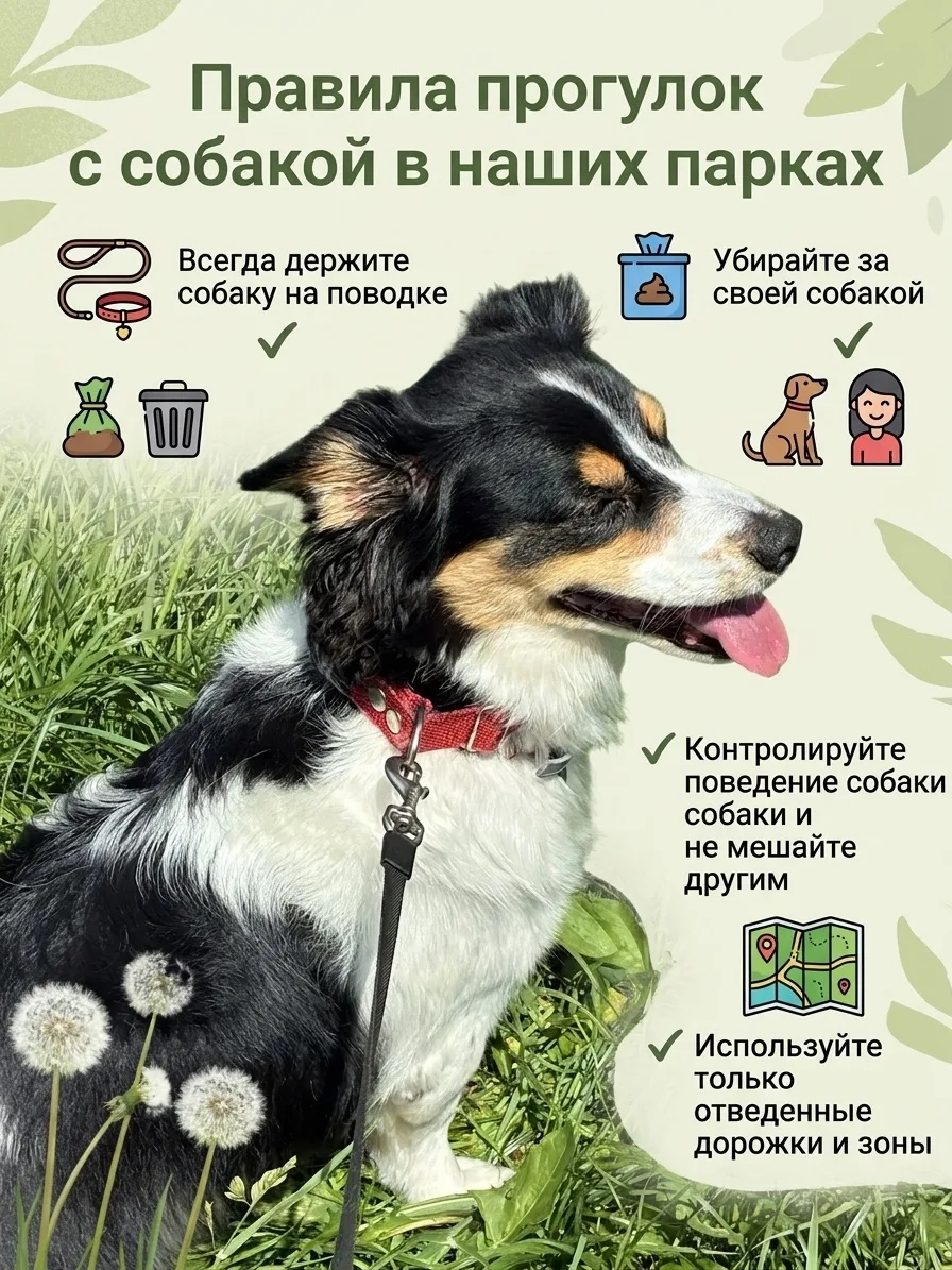 Доброе утро🐶