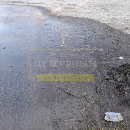 Доброе утро.Хожу вторую неделю мимо этого текущего ручейка,думала может живущие в этом доме обратят 