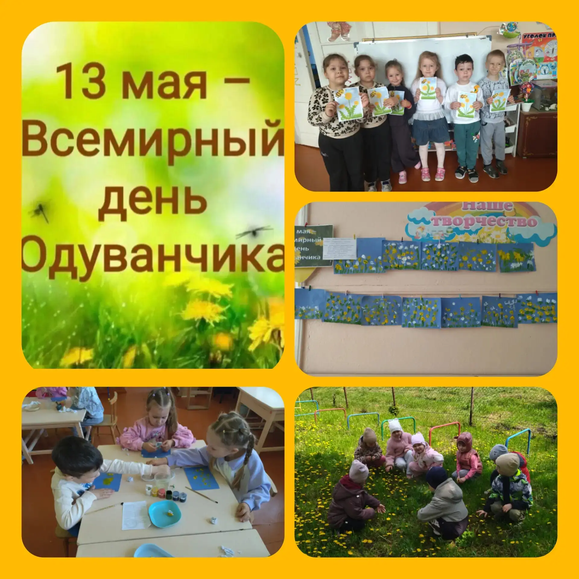 Цикл занятий в средней группе, посвящённых этому удивительному цветку.