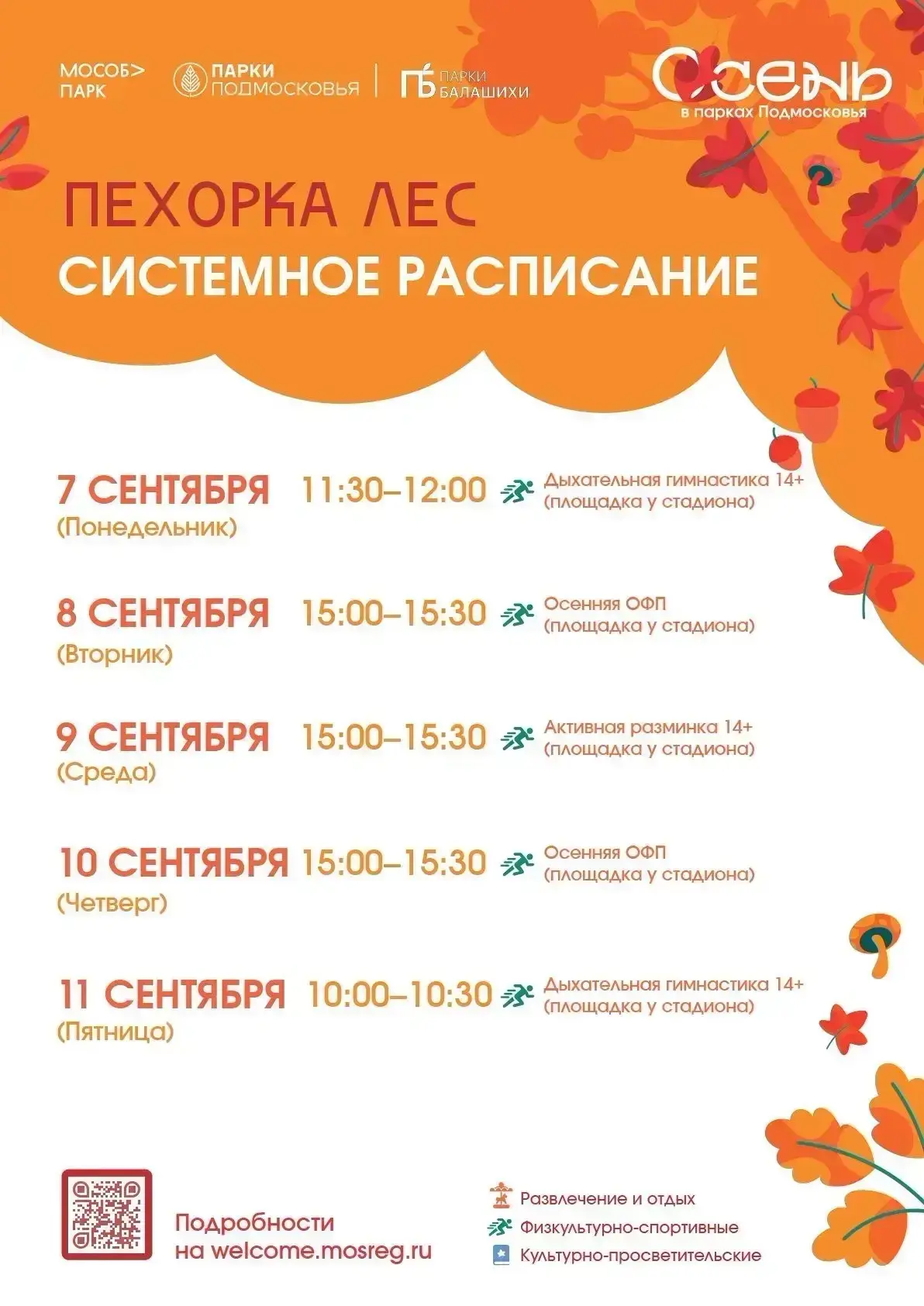 #Пехорка_лес
