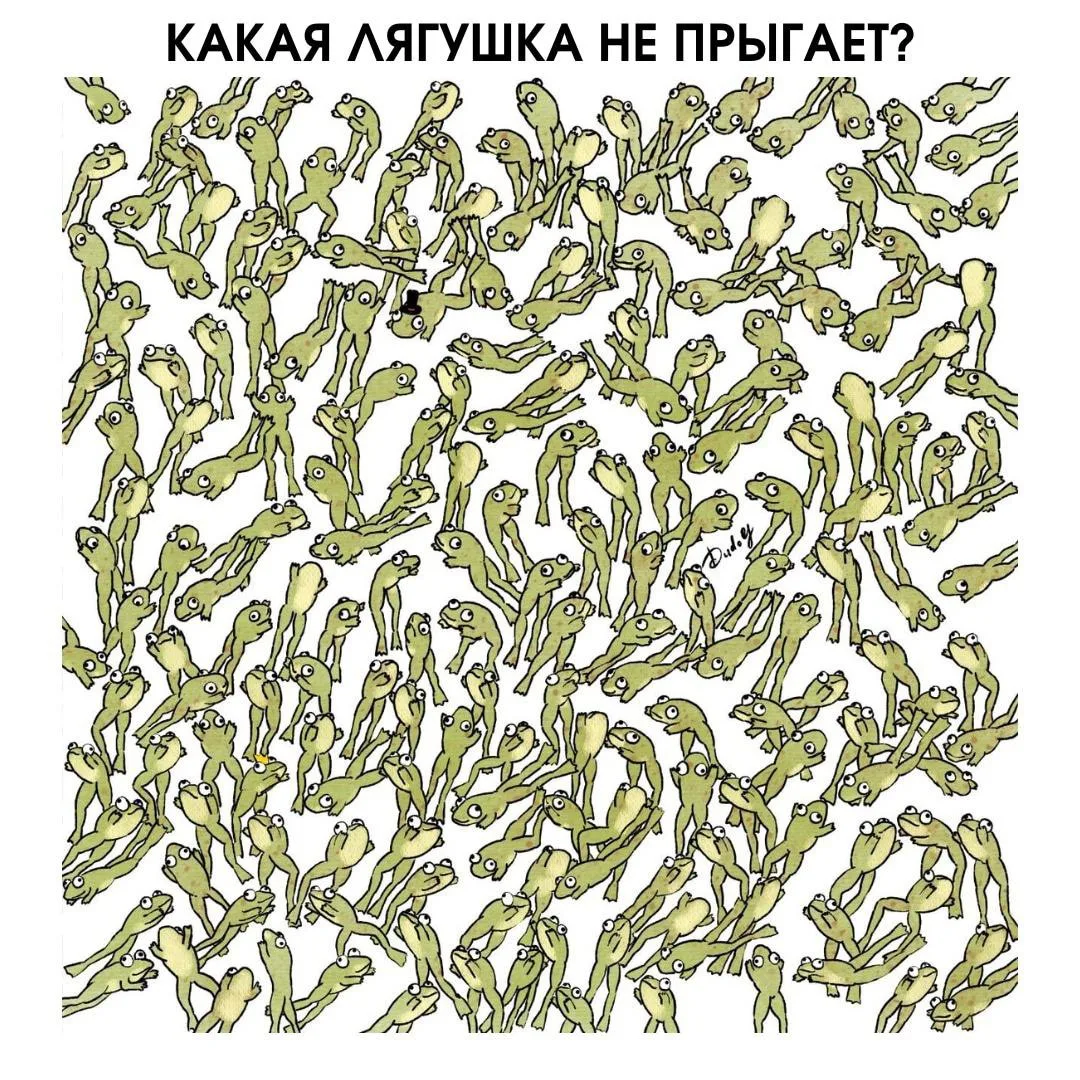 ТЕСТ НА ВНИМАНИЕ ‼️