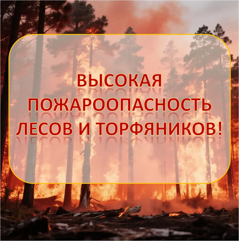 ❗ С 17 по 22 июня местами по Нижегородской области сохранится высокая (4 класс) пожароопасность лесо