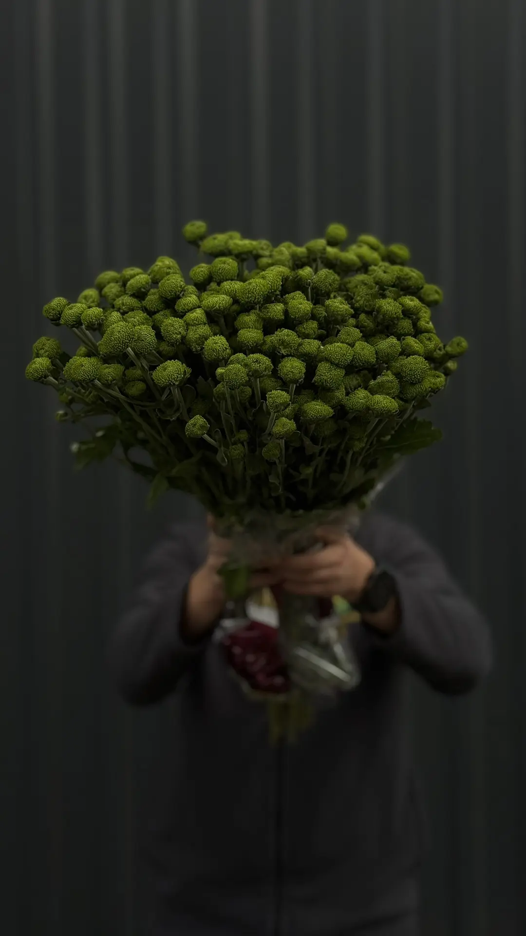 Хризантема  кустовая Deligreen Senzaro - 89₽