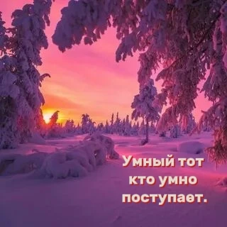 Настоящая умность — не в количестве знаний,