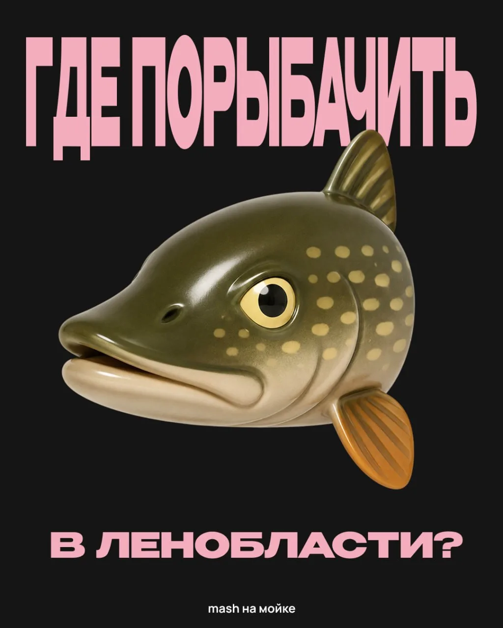 Щука, окунь, судак и карась где-то вас ждут. Собрали проверенные места для рыбалки в Ленобласти — на
