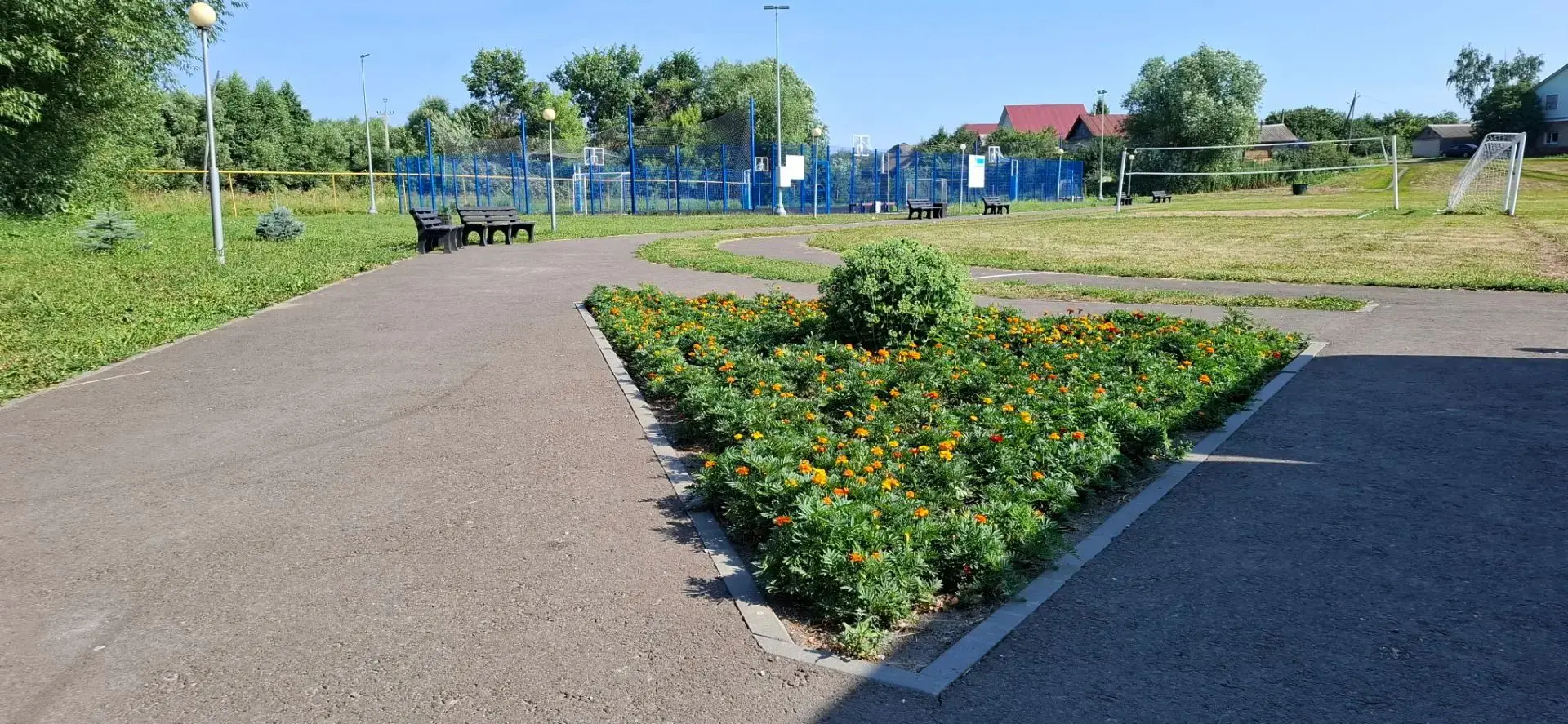 Красота летнего стадиона! 🏟️ ☀️🍀