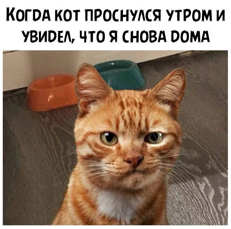 Ветер с Моря Дул