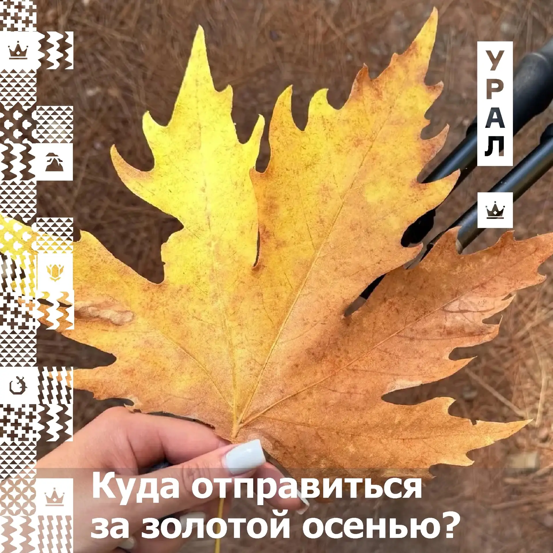 🍁 5 уютных городских парков в Свердловской области для прогулок в выходные