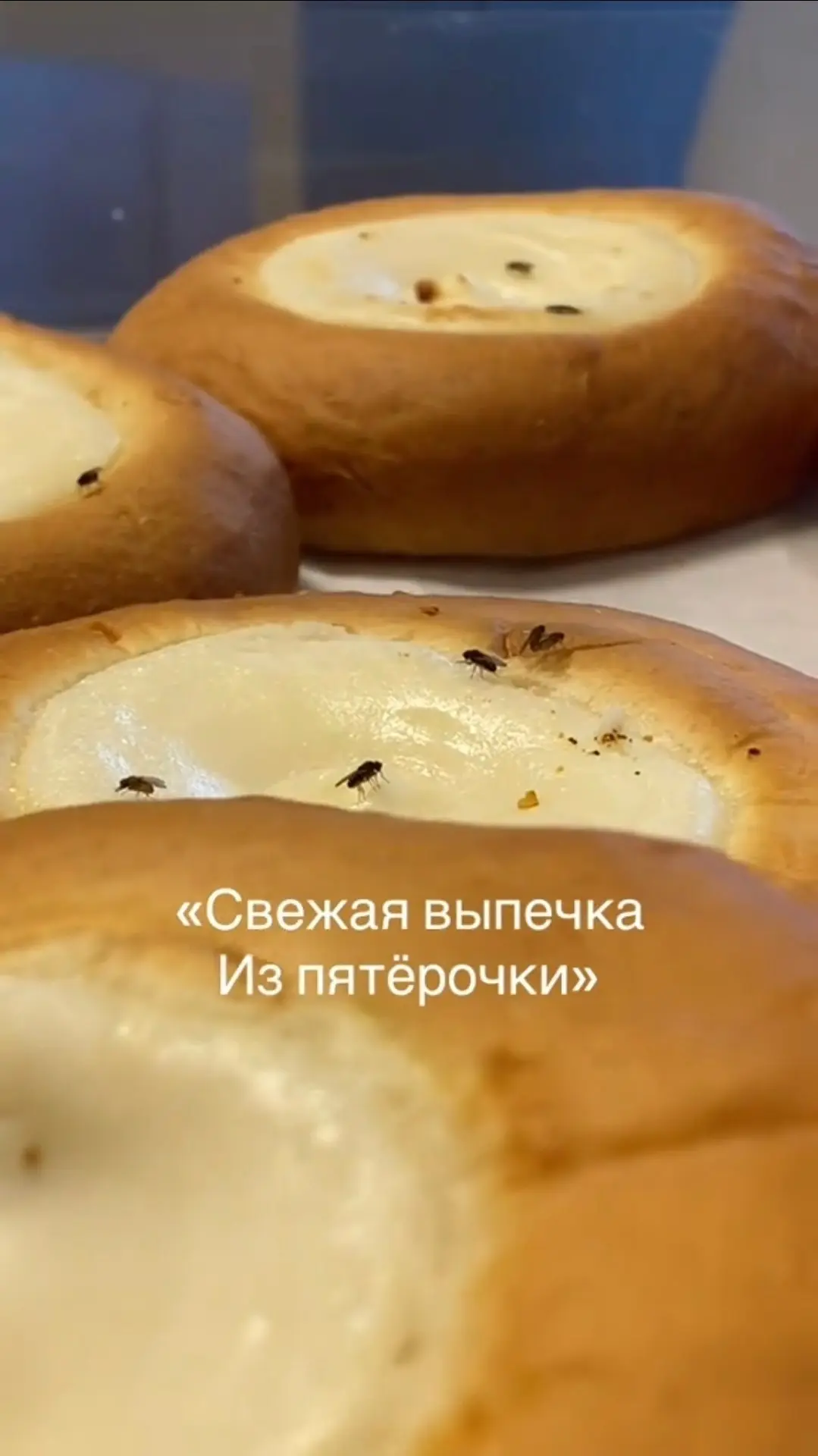 ПЯТЁРОЧКА🆘
Меня удивляет то что у Вас  постоянно все булочки в открытом виде, то с мухама, то с тар