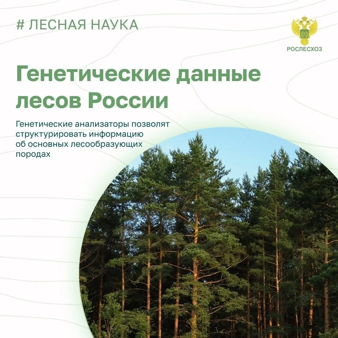 📃 Отечественные генетические анализаторы помогают собирать ДНК пород деревьев в регион...