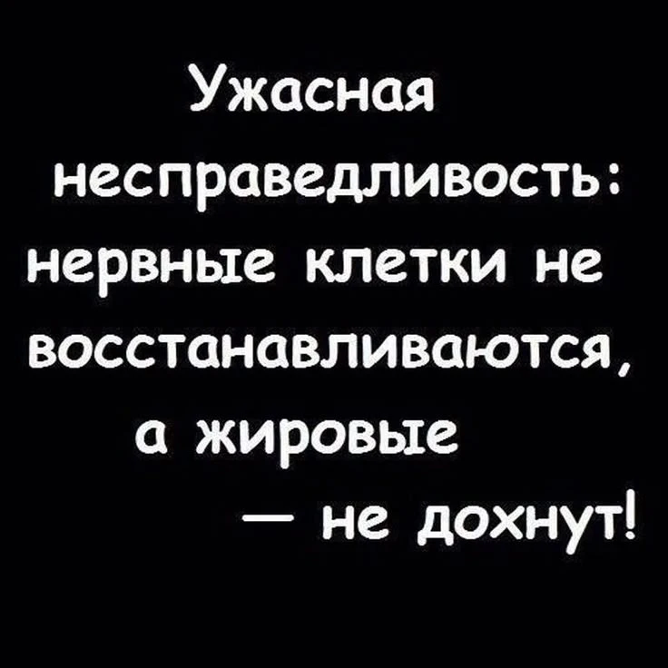 🦊 Весёлые Картинки  !