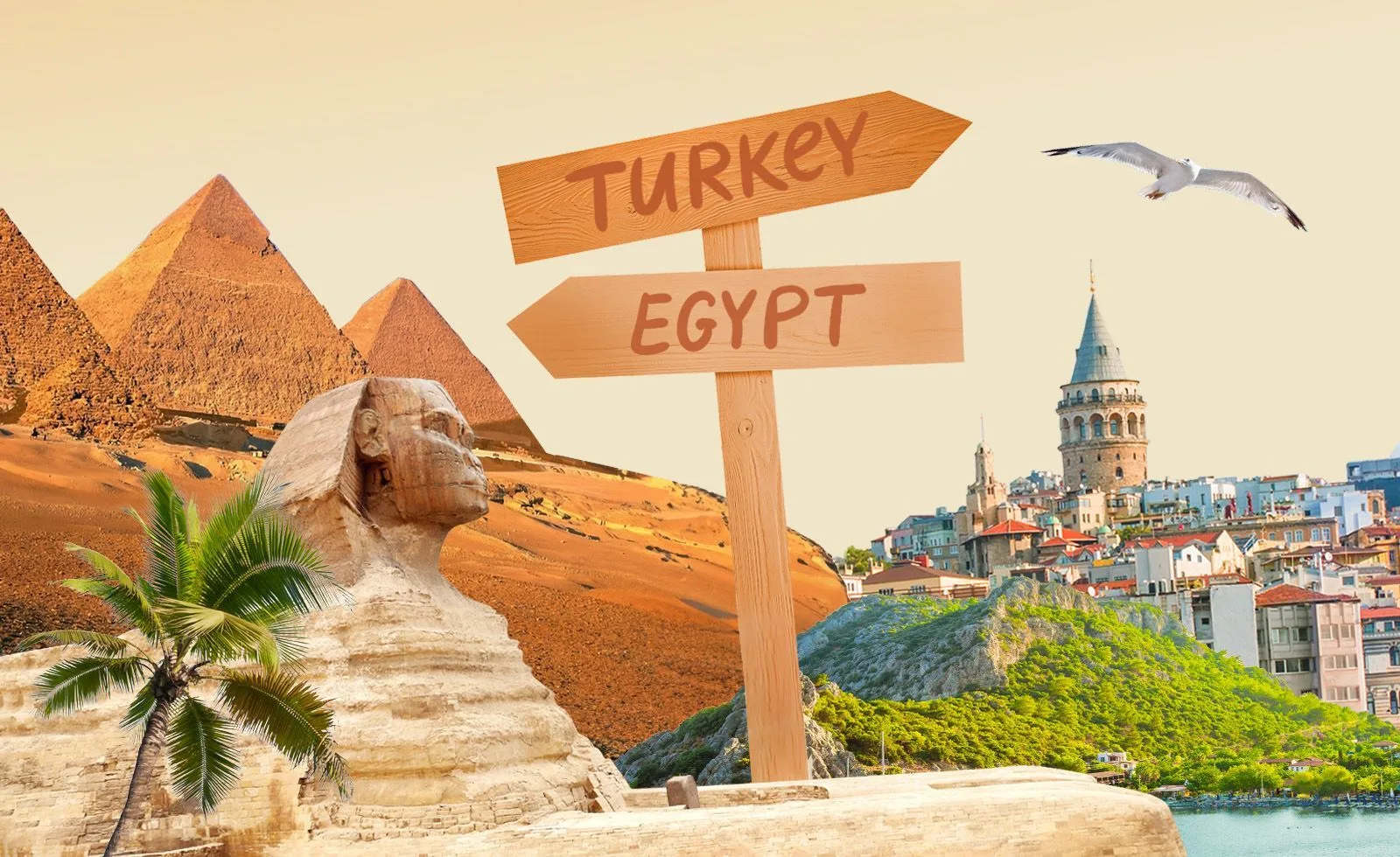 🇪🇬 Египет или 🇹🇷 Турция: куда лететь этим летом?