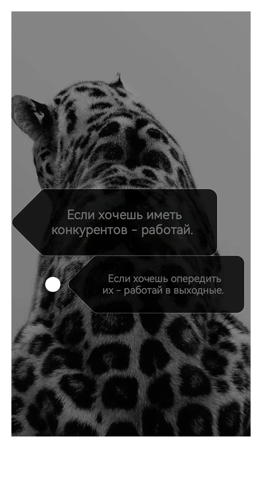 Вот почему иногда стоит поработать в выходные!