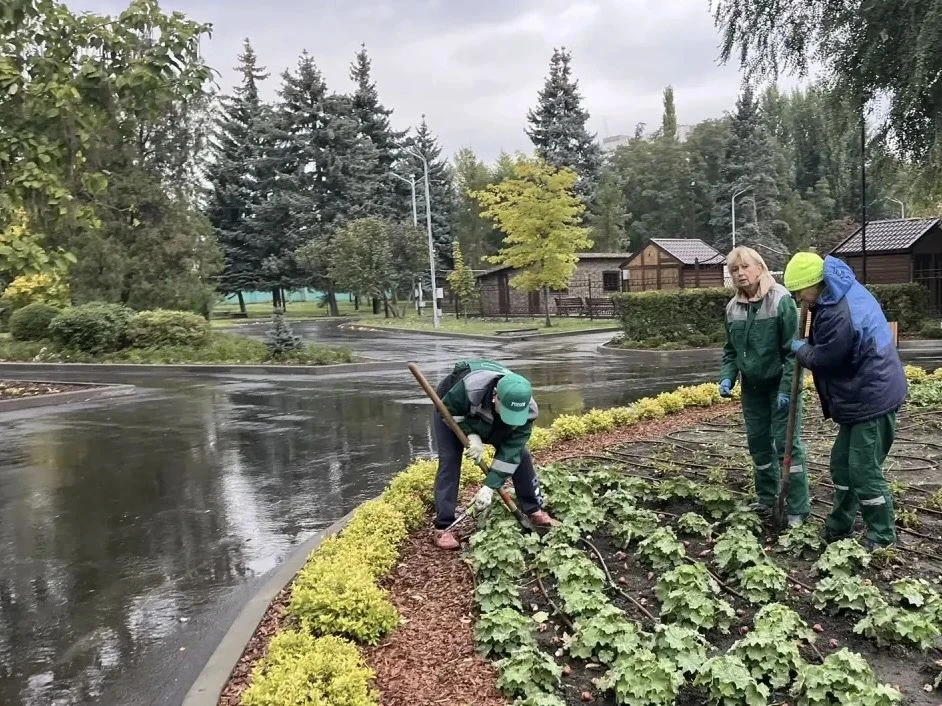 🌷 Горпарк Саратова украсят 5 тысяч тюльпанов