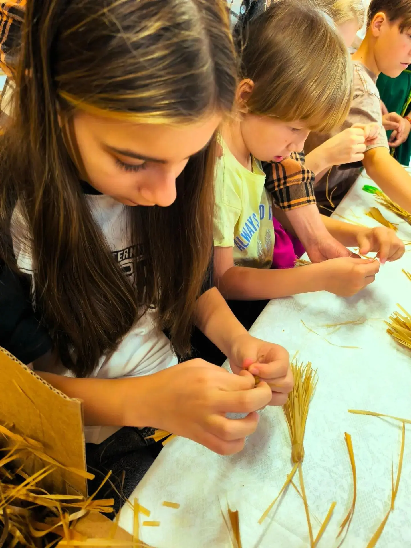 Липа - это кладезь материала для промыслов.