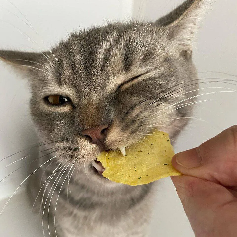 🥔 Сегодня отмечается День рождения картофельных чипсов.