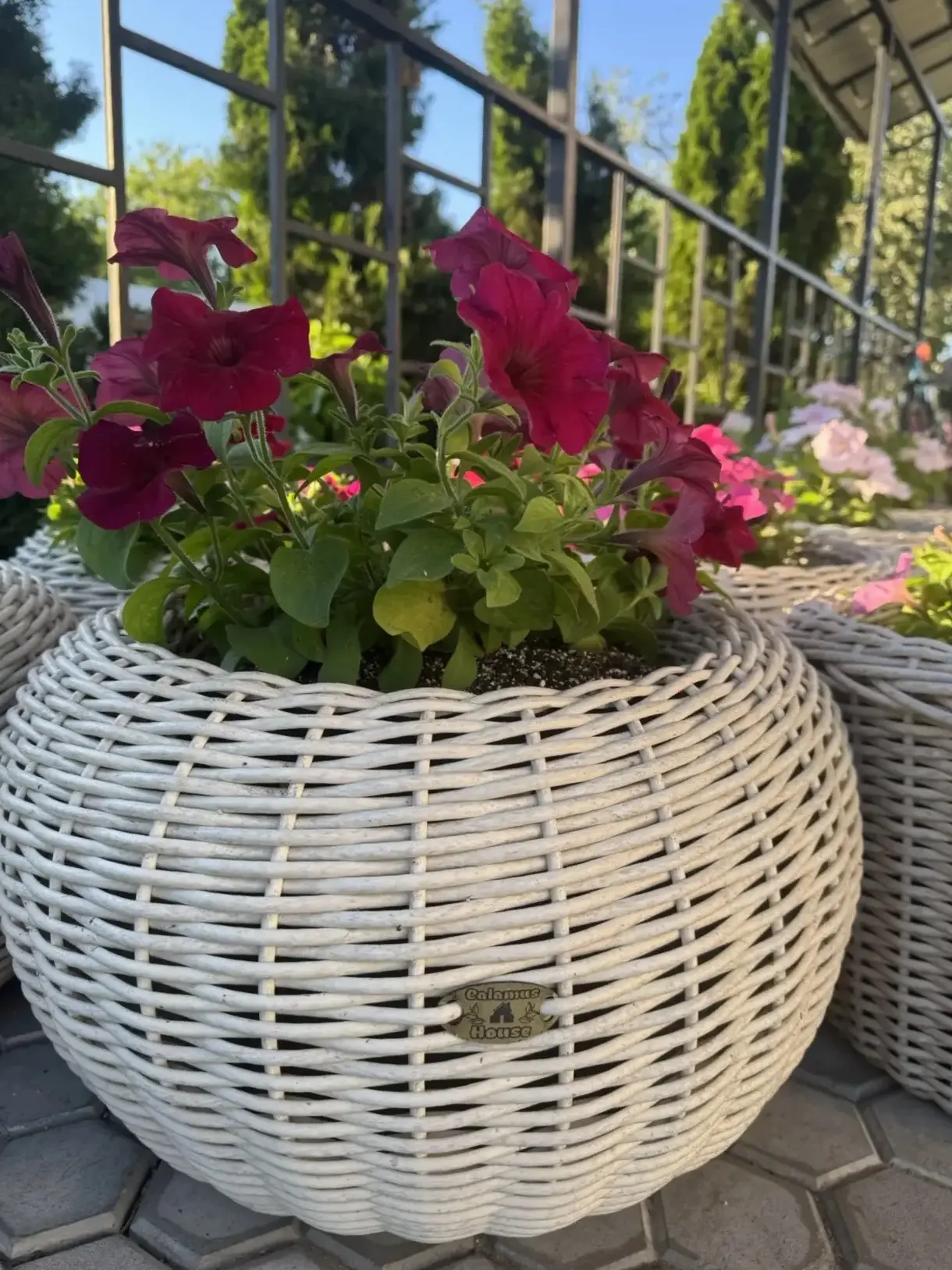 Доброе утро, друзья!☀️
