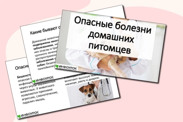 Эпизоотическая ситуация на территории Российской Федерации последние несколько лет хара...