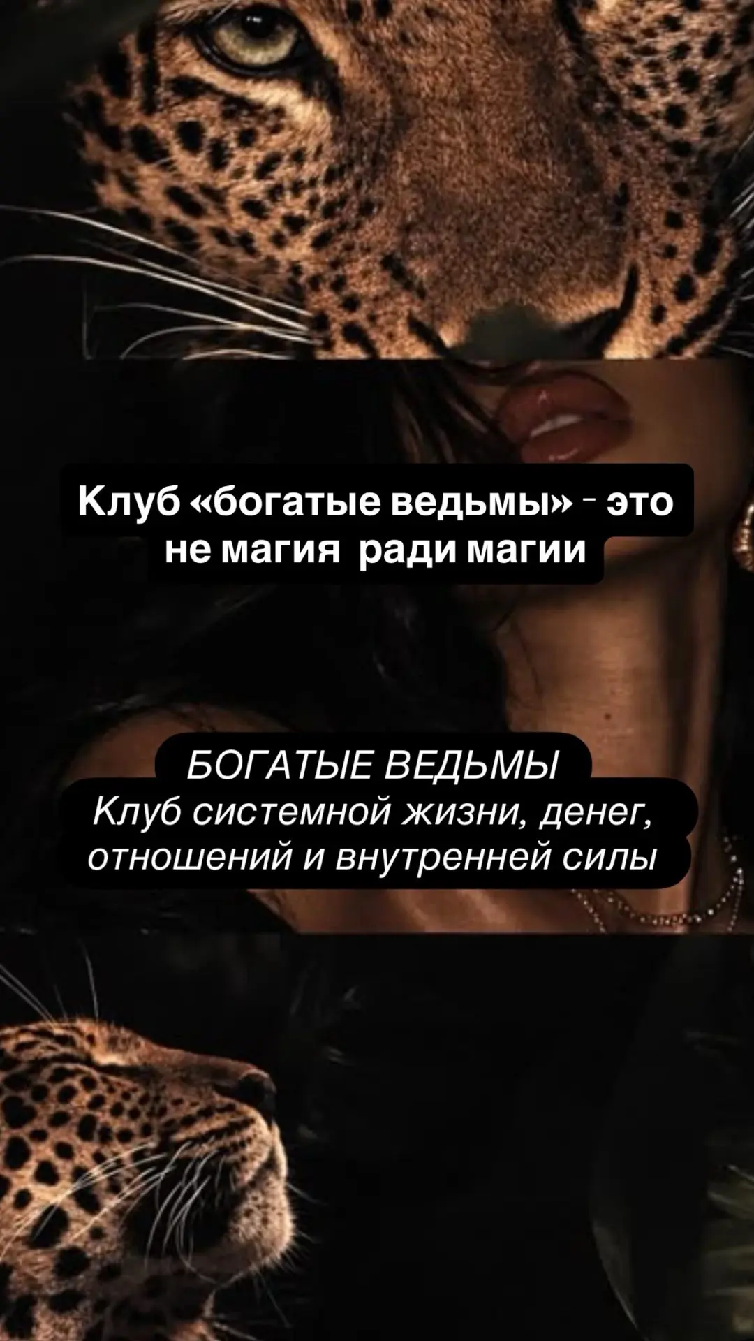 Я меняю подход к клубу

Вернее так. Это зрело во мне несколько месяцев и сейчас сформировалось в стр